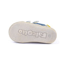 Basket Falcotto Alnoite