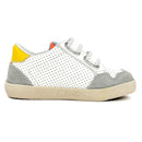 Basket Falcotto Alnoite low