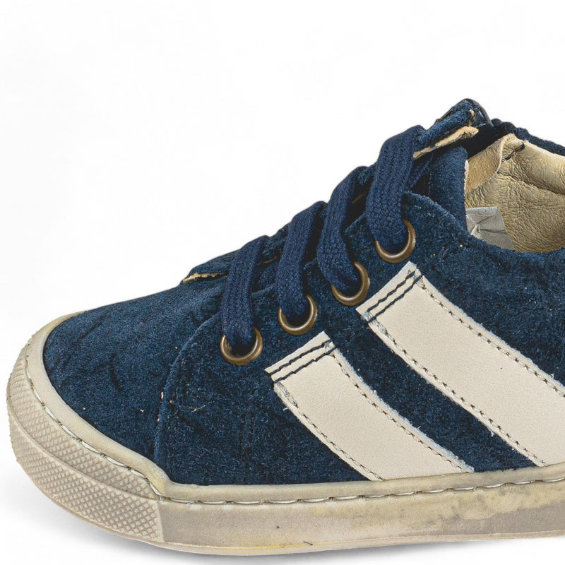 Basket Falcotto Gazer bleu zip