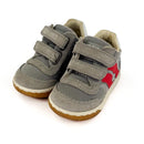 Basket Falcotto Vega