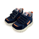 Basket Falcotto Amantea marine