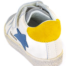 Basket Falcotto Alnoite