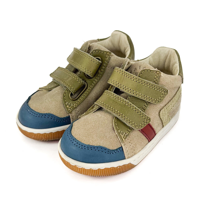 Basket Falcotto Masienta