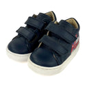 Basket Falcotto Avispa