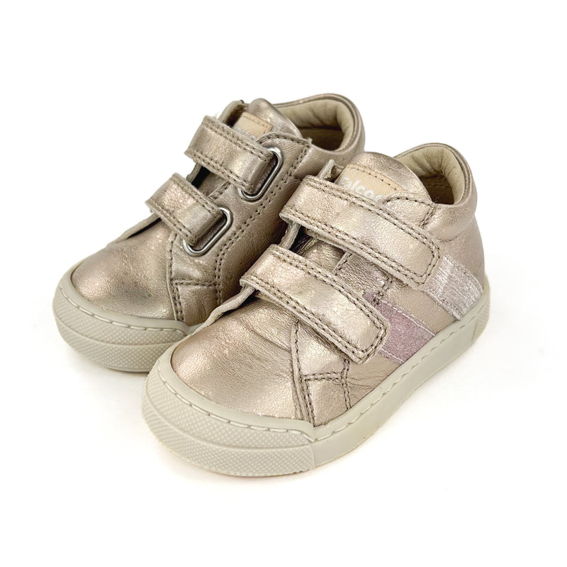 Basket Falcotto Gazer