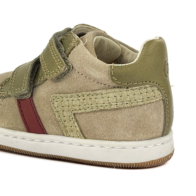 Basket Falcotto Masienta