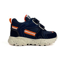 Basket Falcotto Amantea marine