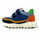 Basket Falcotto Amantea bleu