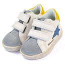 Basket Falcotto Alnoite