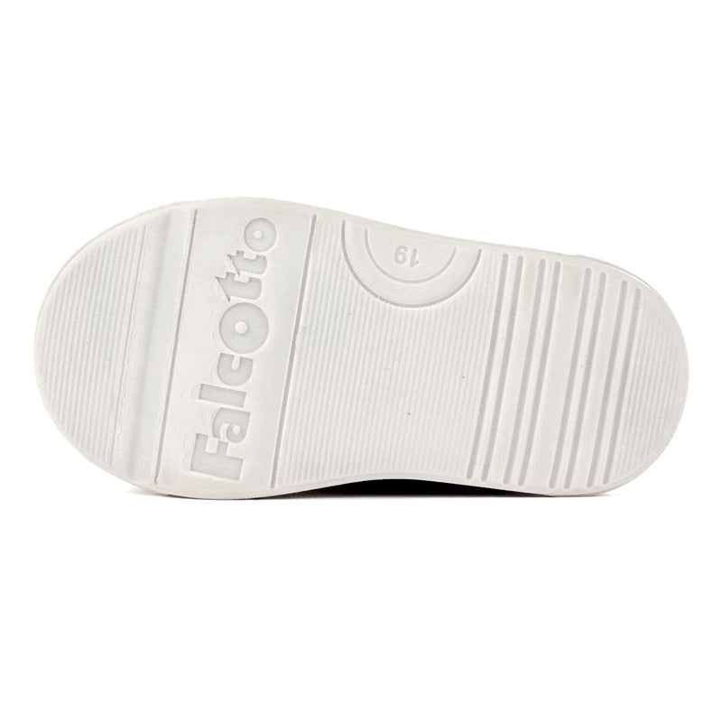 Basket Falcotto Gazer