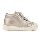 Basket Falcotto Gazer