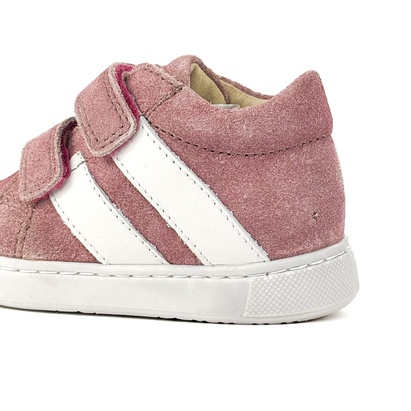 Basket Falcotto Gazer